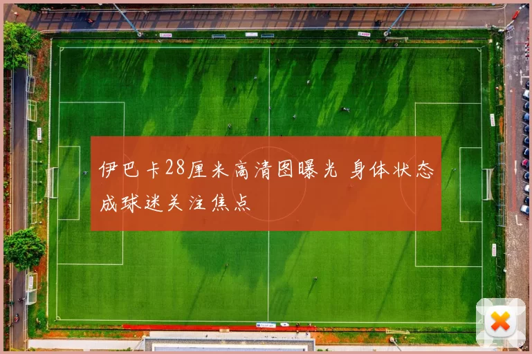 伊巴卡28厘米高清图曝光 身体状态成球迷关注焦点