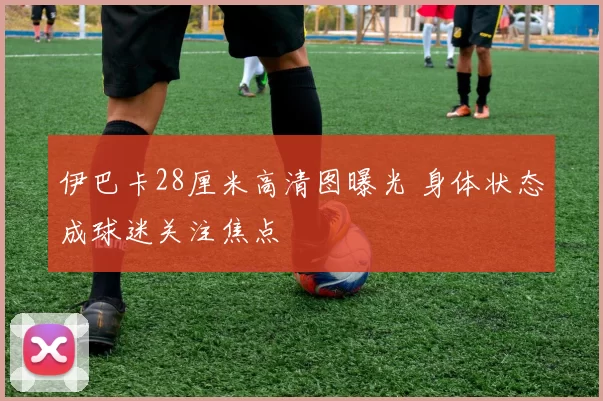 伊巴卡28厘米高清图曝光 身体状态成球迷关注焦点