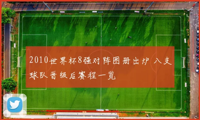 2010世界杯8强对阵图册出炉 八支球队晋级后赛程一览